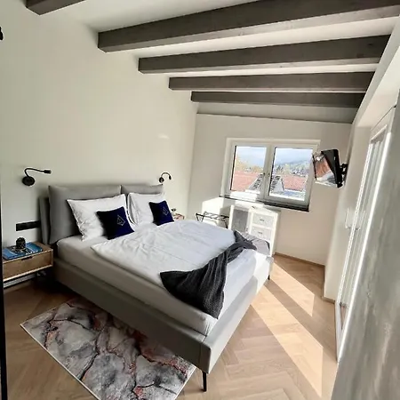 Loft 公寓 *